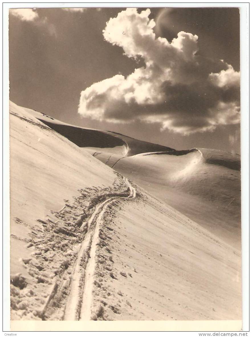 L'Alpe De Venosc ,Pistes Du Diable ,Photo P.Michel (VUE SCAN) - Vénosc