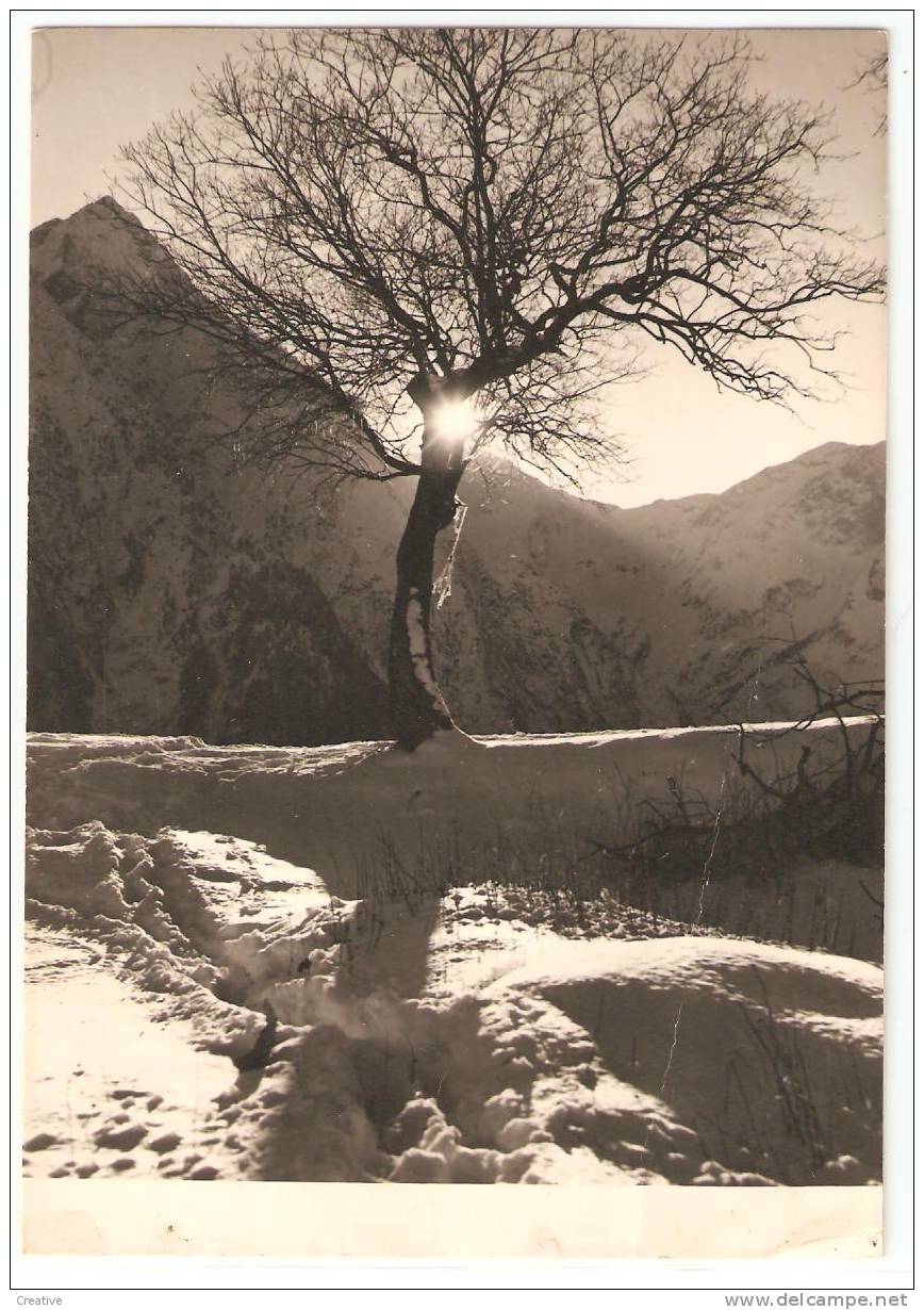 L'Alpe De Venosc ,Photo P.Michel (VUE SCAN) - Vénosc