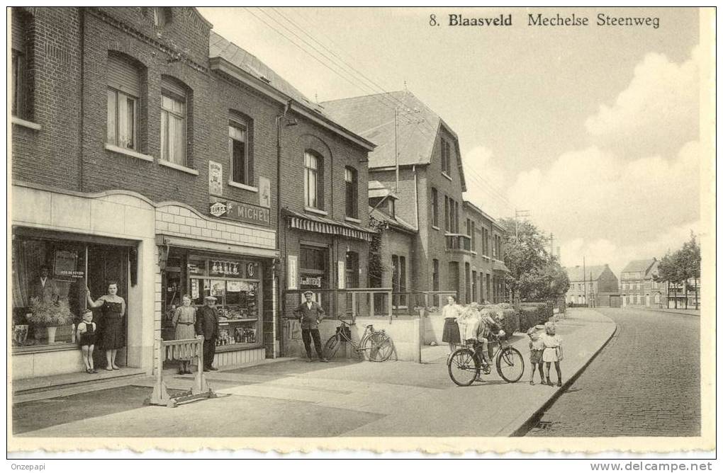 BLAASVELD-Mechelse Steenweg - Willebrök