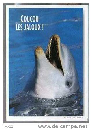 Jolie CP Humour - Animal Dauphin Coucou Les Jaloux ! - A Circulée - Dauphins