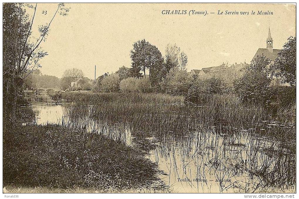 CP 89 CHABLIS Le Serein Vers Le Moulin - Chablis