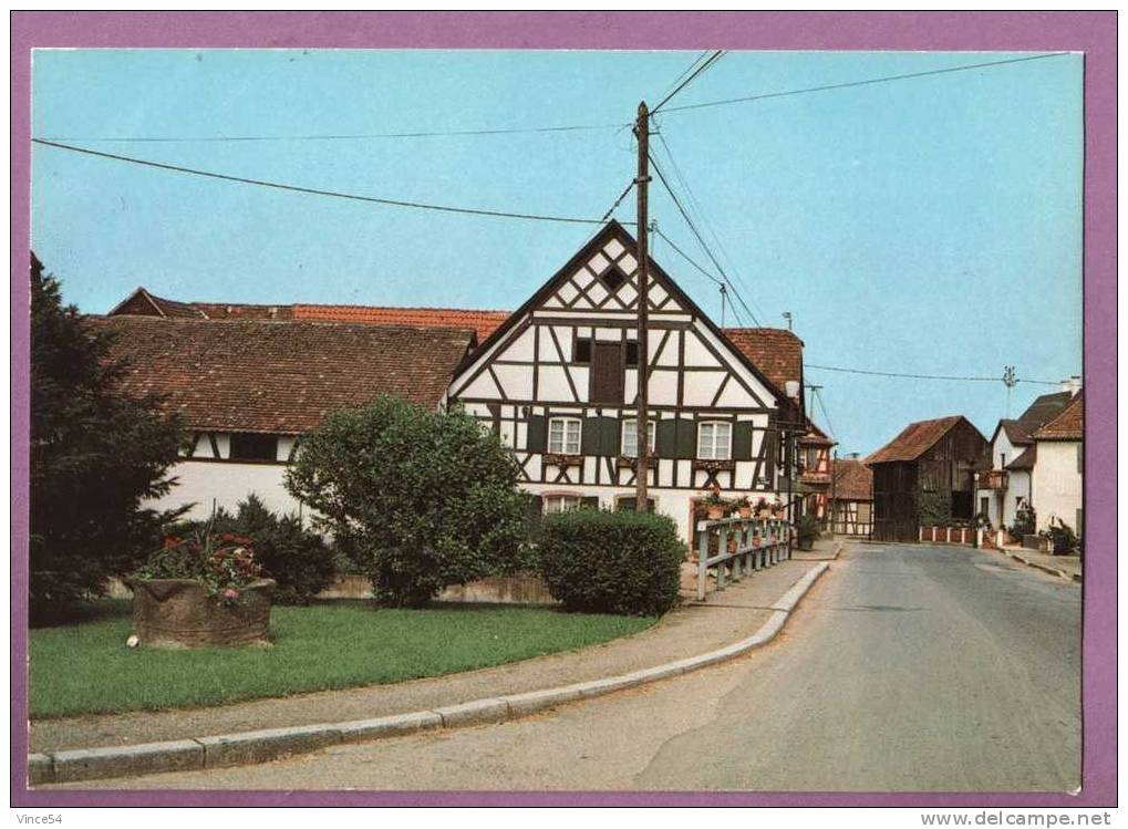 EBERMUNSTER - Maison à Colombages. Carte Non Circulée - Ebersmunster