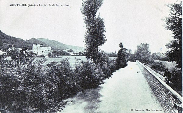 Montluel -  Les Bord De La Sereine - Montluel