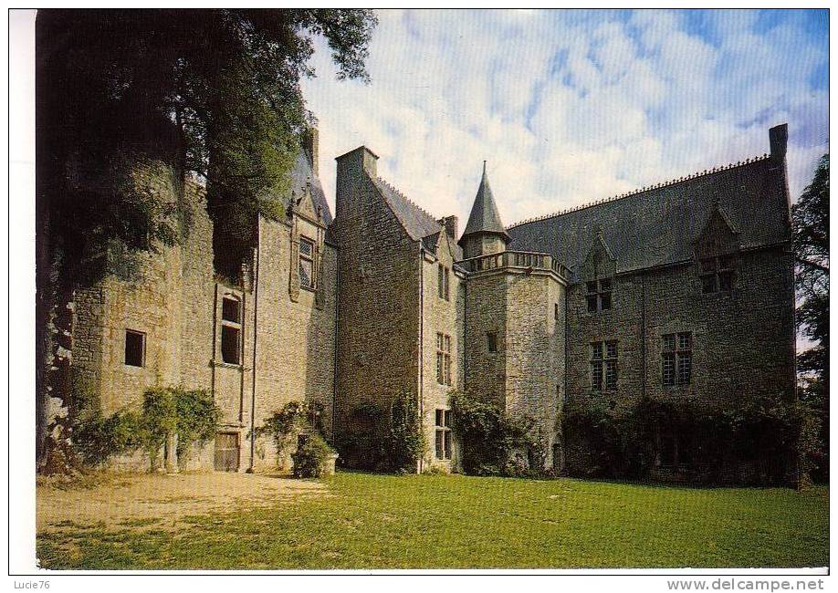 PONTMAIN  - Château De MAUSSON - N° 40 - Pontmain