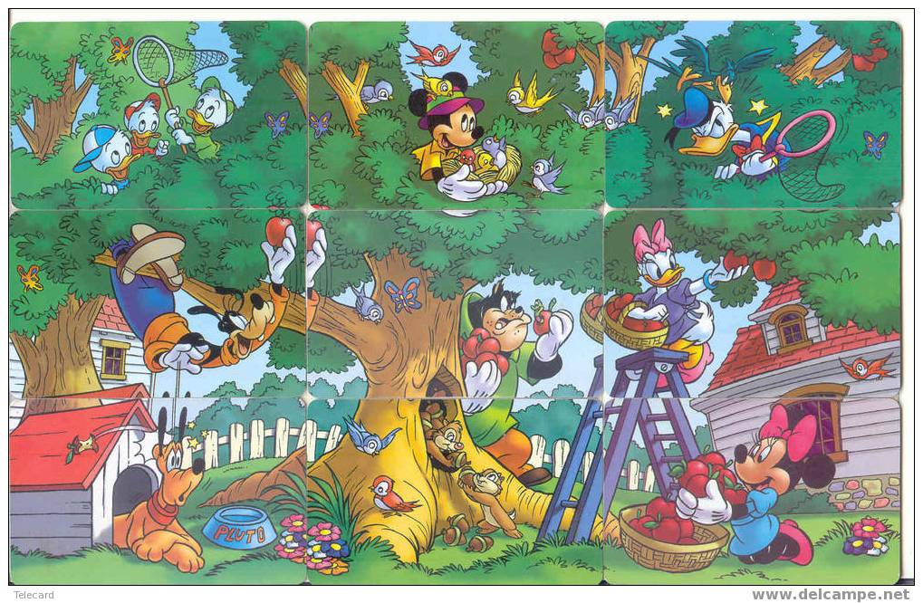 9 Télécartes DISNEY En Puzzle ARGENTINE. 9 Phonecards Disney In Puzzle From ARGENTINA - Puzzle