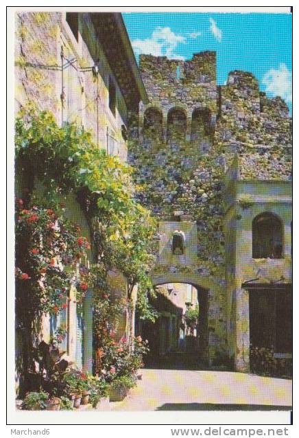 ROCHEMAURE . RUELLE FLEURIE ET PORTE DANS LES ANCIENS REMPARTS DE LA VILLE - Rochemaure