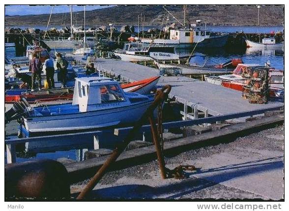 St PIERRE Et MIQUELON - LE PORT Et Ses BATEAUX Ref : 8071 - CIM -COMBIER IMP.A MACON - Saint-Pierre-et-Miquelon