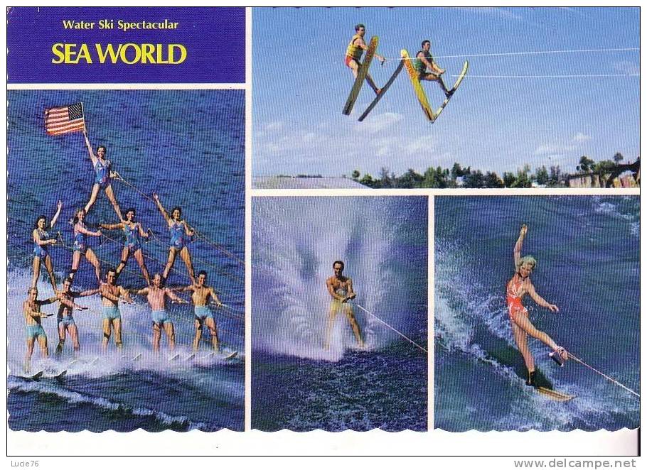 WATER SKI SPECTACULAR -  SEA WORLD  - 4 Vues - Ski Nautique