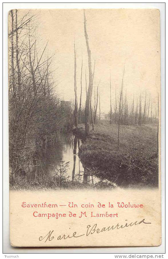 C2688 - Saventhem - Un Coin De La Woluwe - Campagne De M Lambert - Zaventem