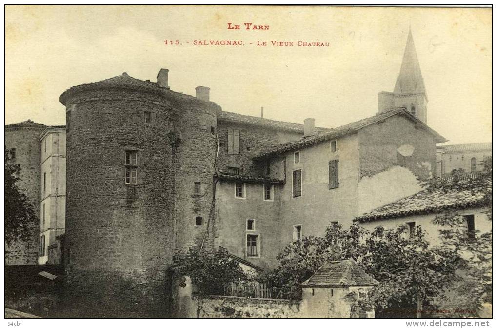 CPA (81)   SALVAGNAC Le Vieux Chateau - Salvagnac