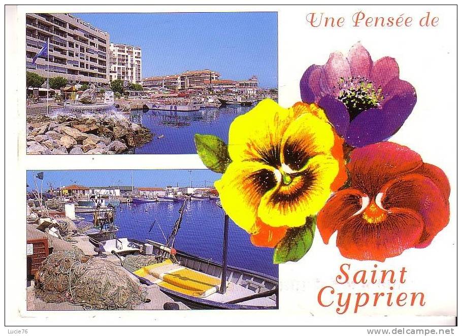 Une Pensée De SAINT CYPRIEN  -  2 Vues Et Pensée - Saint Cyprien