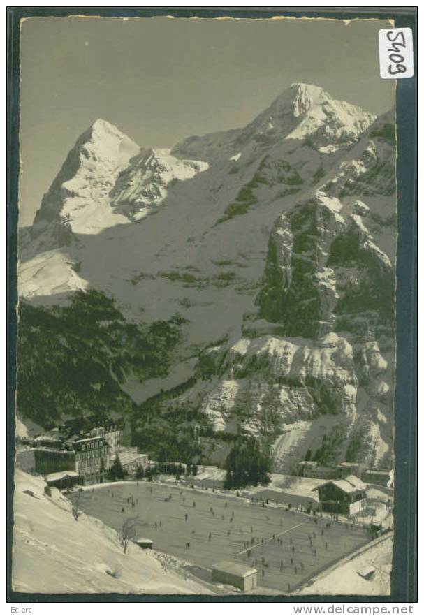 MÜRREN - PALACE - PATINOIRE - TB - Mürren