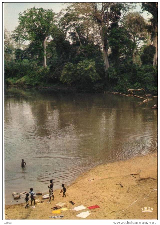 Sénégal ° La Lessive Au Marigot - Sénégal