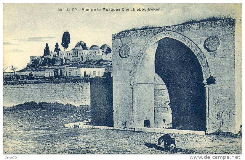 SYRIE - Alep - Vue De La Mosquée Cheick Abou Beker - Syrië