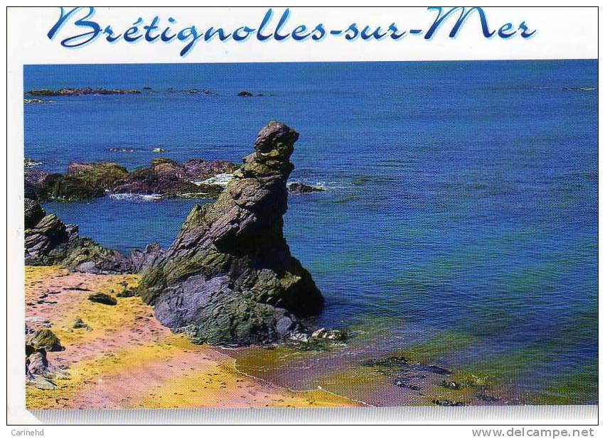 BRETIGNOLLES SUR MER COTE SAUVAGE - Bretignolles Sur Mer