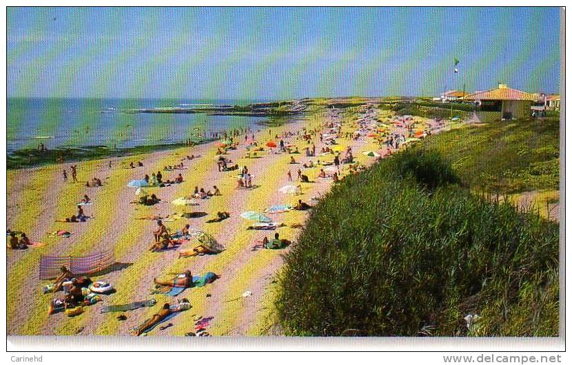 BRETIGNOLLES SUR MER PLAGE - Bretignolles Sur Mer