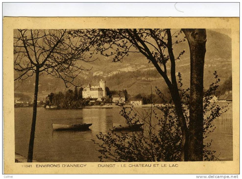 Duingt - Le Château Et Le Lac    Environ D'Annecy 11841 - Duingt