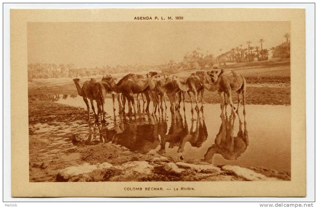 ALGERIE  1930 Agenda PLM  COLOMB BECHAR La Riviere ( Chameaux  ) - Bechar (Colomb Béchar)