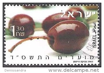 Israel 2003 Michel 1745 O Cote (2007) 0.40 Euro Olive Cachet Rond - Used Stamps (without Tabs)