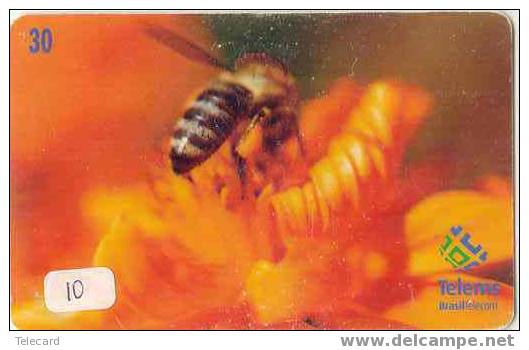 ABEILLE BIENE BEE BIJ ABEJA Telecarte (10) - Abeilles