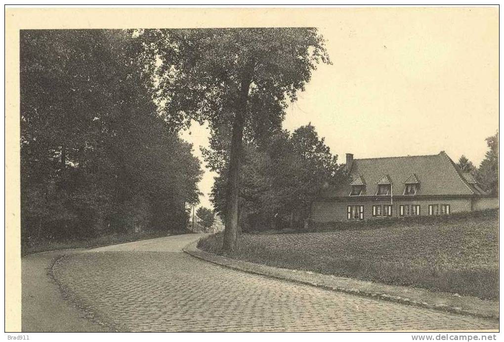 Grez-Doiceau: Entrée Du Village +/- 1950 - Graven