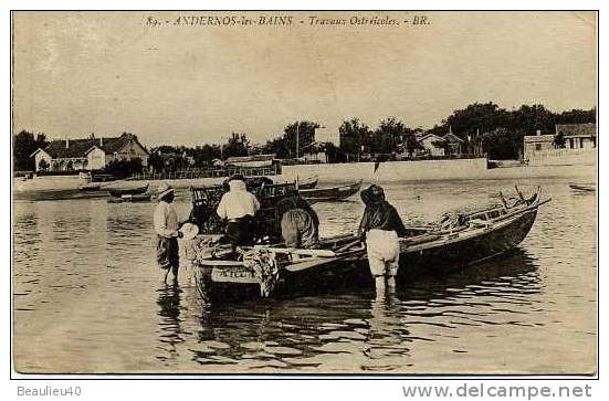 33  ANDERNOS   Travaux Ostréicoles - Andernos-les-Bains