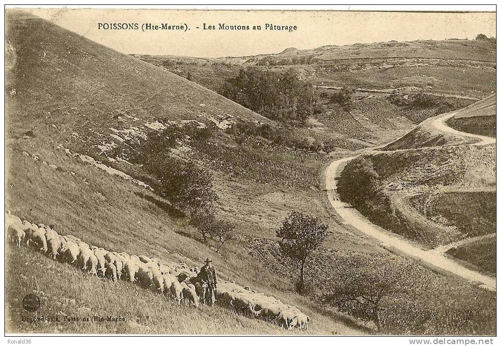 CP 52 POISSONS Les Moutons En Paturage ( Berger ) - Poissons