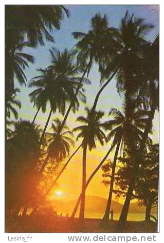 CP - PHOTO - BATU FERRINGI BEACH AT DUSK. - PENANG - - Malaysia