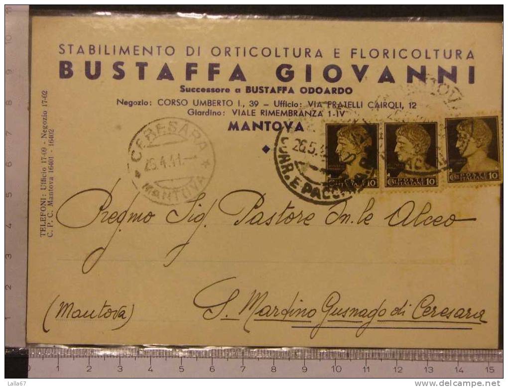 MANTOVA  - COMMERCIALE   N. 1238 - Mantova