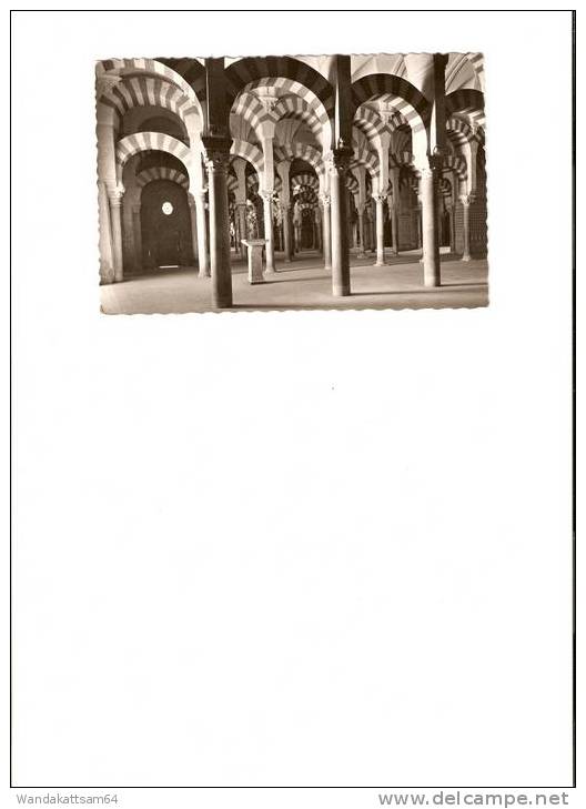 AK CORDOBA Mezquita Catedral Luberinto Mosque Cathedral Labyrinth Of Columns Mosquee-Cathedrale Labyrinthe De Colomnes - Córdoba