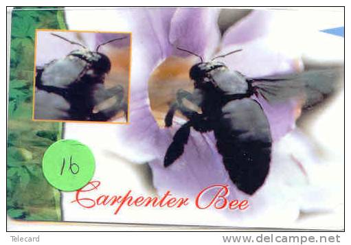 ABEILLE BIENE BEE BIJ ABEJA Telecarte (16) - Honeybees