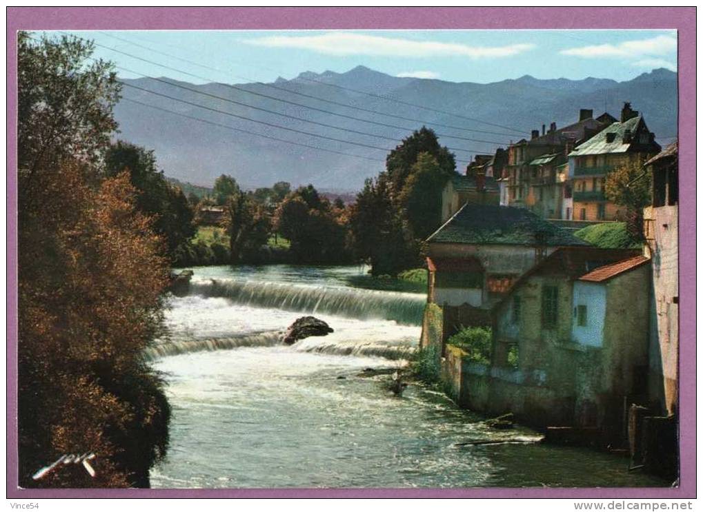 OLORON SAINTE MARIE - Le Gave D´Aspe. Carte Non Circulée - Oloron Sainte Marie