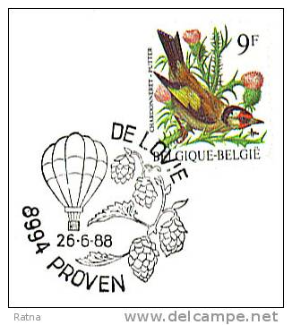 Belgique : Obl. Temp. Houblon Biere Ballon Plante Boisson Alcool - Bier