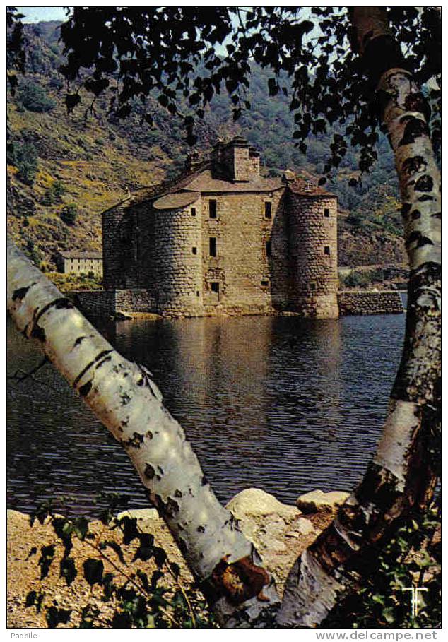 Carte Postale  48. Chateau De Castanet Prés De Villefort  Trés Beau Plan - Villefort