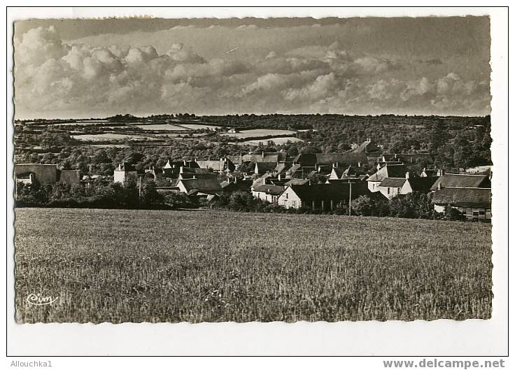 18 CHER     VILLAGE DE  HENRICHEMONT  BOISBELLE /TRES LOCALISE - Henrichemont