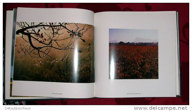 La Haute Vallée De L'Hérault ( Beau Livre De Photos) - Fotografia