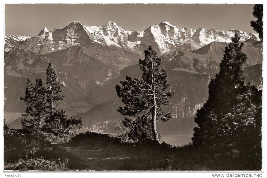 CH - BE - Beatenberg. Blick Vom Niederhorn - Finsteraarhorn, Eiger, Mönch, Jungfrau... - (ungelaufen / Non Circulée) - Beatenberg