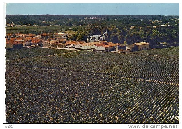 Dép 33 - P231 - Pessac - Château Haut Brion - Semi Moderne Grand Format - Bon état Général - Pessac