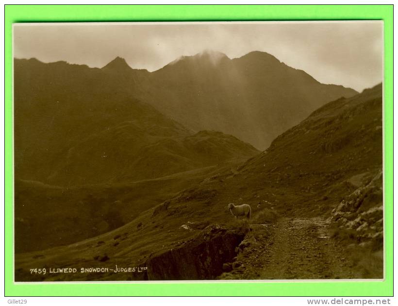 LLIWEDD SNOWDON - JUDGES LTD - PAYS DE GALLES - - Caernarvonshire