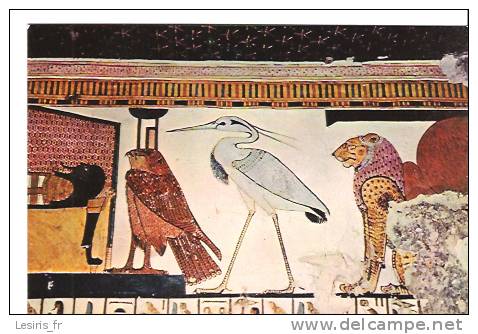 CP - DEIR EL MEDINA - TOMB OF NOBLE PA SHED - PHOENIX BETWEEN NEPHTYS AS BIRD AND THE SUN RISING IN THE NETHERWORL -1059 - Antiquité