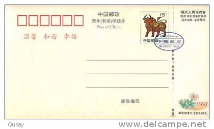 Textile Clothing  Store    Pre-stamped Card , Postal Stationery - Textile