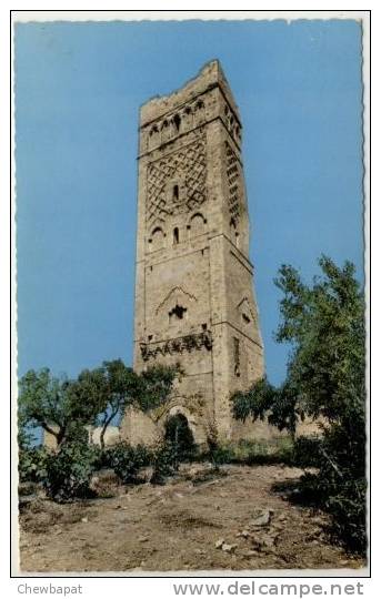 Tlemcen - La Tour Mansourah, Vieilles Ruines   -   104 - Tlemcen