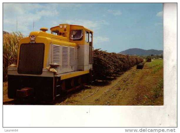 Sugar Cane Postcards - Carte Postale Sur La Canne A Sucre - Landbouw