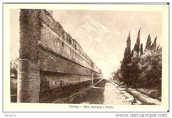 2158/FP/08 - TIVOLI (ROMA) - Villa Adriana, Pecile - Tivoli