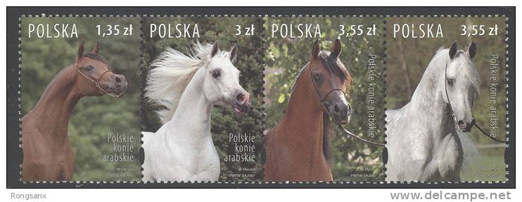 2007 POLAND ARABIAN HORSES 4V - Unused Stamps