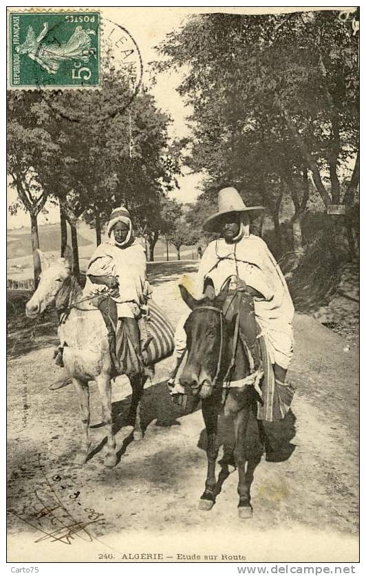 ALGERIE - Scènes Et Types - Szenen