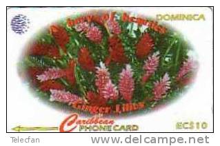 DOMINICA FLOWERS UT 138 CDM..... - Dominica