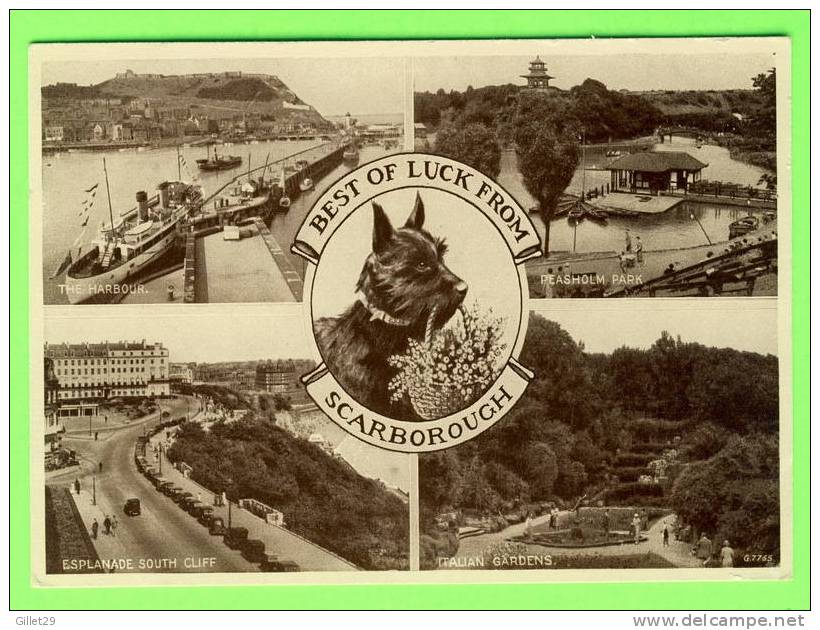 SCARBOROUGH, UK - BEST OF LUCK FROM - 5 MULTIVIEWS - - Scarborough