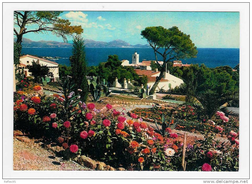 Calanques Des ISSAMBRES - Le Village Dans Une Corbeille De Fleurs - Les Issambres