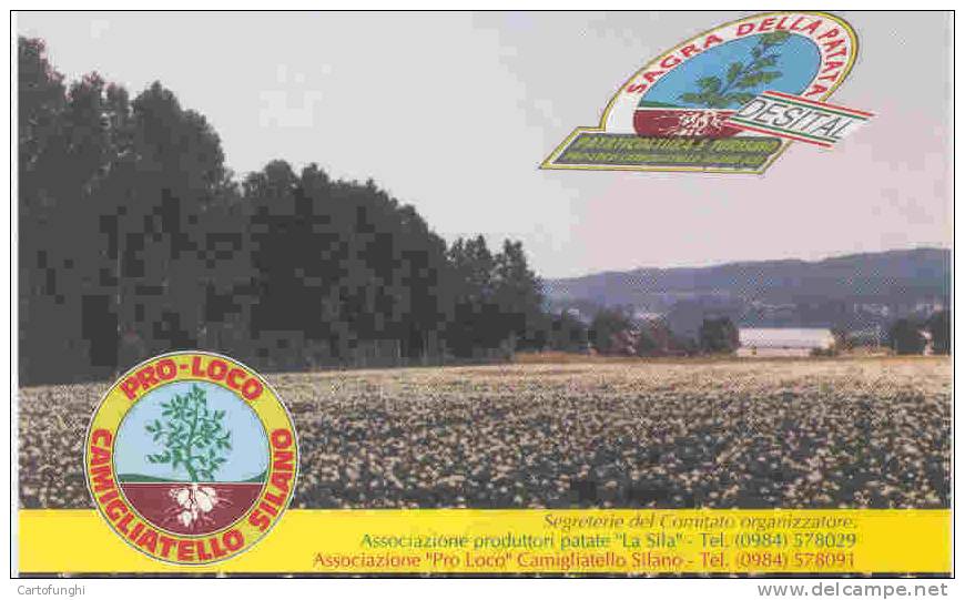 M CARTOLINA MOSTRA MERCATO  PATATA SILANA  1991 CAMIGLIATELLO SILANO COSENZA CALABRIA POMME DE TERRE POTATO KARTOFFEL - Cultivation